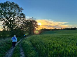 IMG_4413