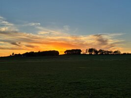 IMG_4419