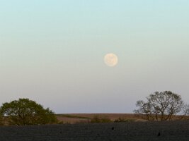 IMG_9448