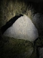 IMG_7411