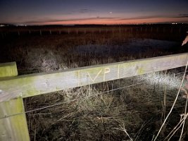 IMG_7412