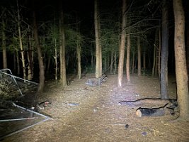IMG_8413