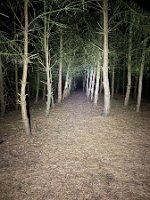 IMG_8414