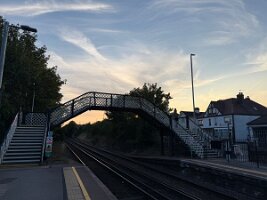 IMG_0118
