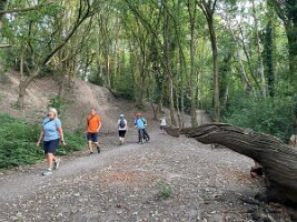 IMG_0121