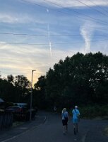 IMG_0124