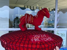 IMG_0307